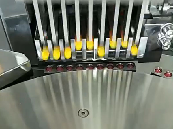 全自动胶囊填充机